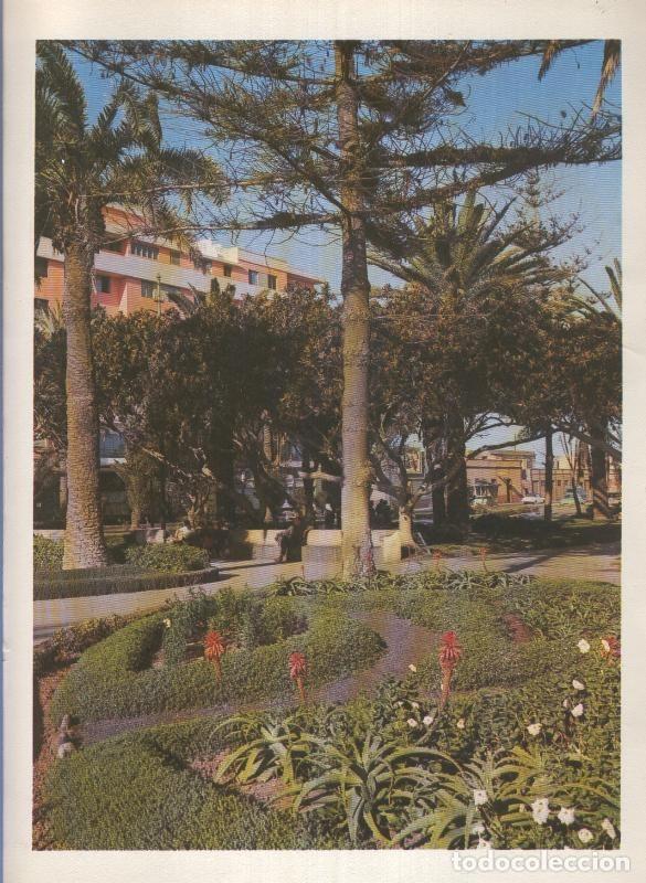 Otros art&iacute;culos de coleccionismo en papel: Gran Canaria: Lamina 28: Parque Cervante - Varios