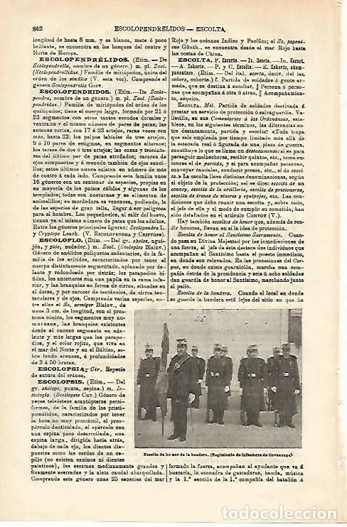 Otros art&iacute;culos de coleccionismo en papel: LAMINA ESPASA 16588: Regimiento de Infanteria de Covadonga - Varios