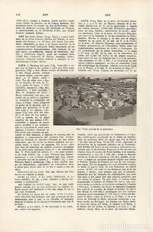 Otros art&iacute;culos de coleccionismo en papel: LAMINA SALVAT 80061: Vista de Gat Libia - Varios