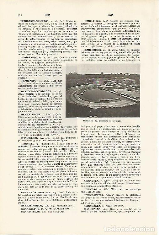 Otros art&iacute;culos de coleccionismo en papel: LAMINA SALVAT 80160: Gimnasio de Siracusa Sicilia - Varios
