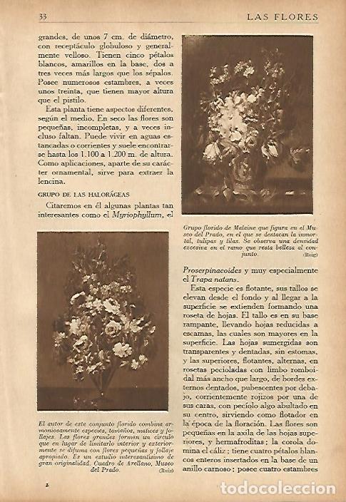 Altri oggetti di carta: LAMINA 5484: Cuadros de Arellano y de Malaine - Nicasio Olivan