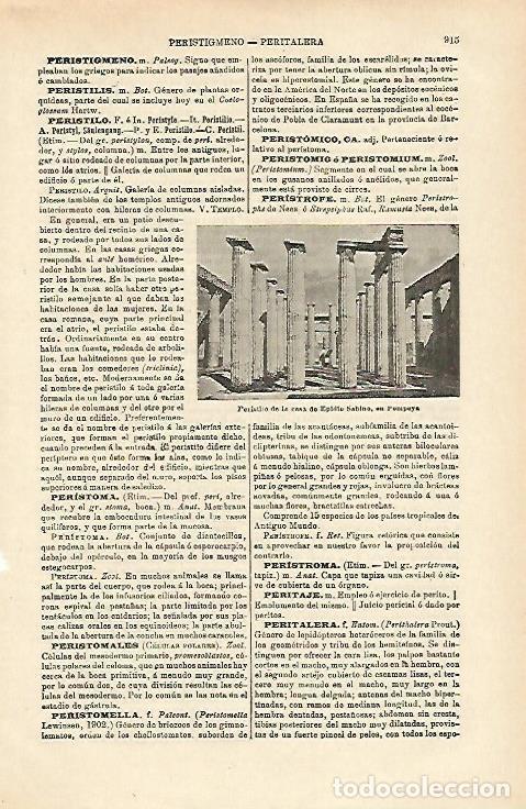 Otros art&iacute;culos de coleccionismo en papel: LAMINA ESPASA 15764: Casa de Epidio Sabino en Pompeya - Varios