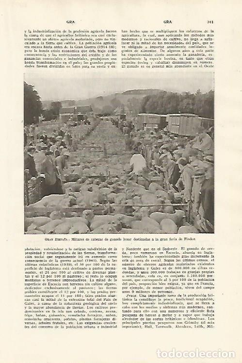 Otros art&iacute;culos de coleccionismo en papel: LAMINA SALVAT 80097: Feria de ganado de Findon Gran Breta&ntilde;a - Varios
