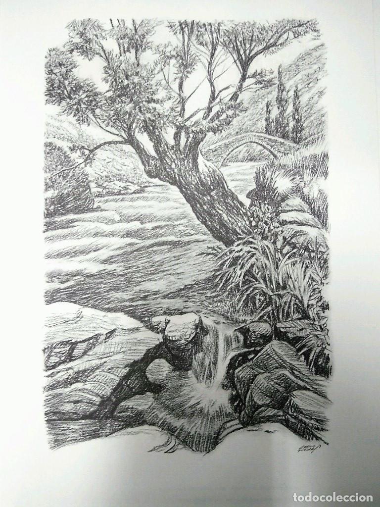 Altri oggetti di carta: Laminas Carlos Freixas: Paisajes II 03- ARBOL Y RIO CON PUENTE AL FONDO (Serie estudios 24) - Carlos