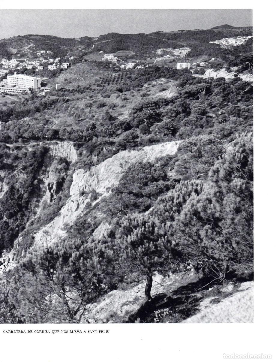 Otros art&iacute;culos de coleccionismo en papel: LAMINA 5665: Tossa y su costa desde la carretera a Sant Feliu - Josep Pla