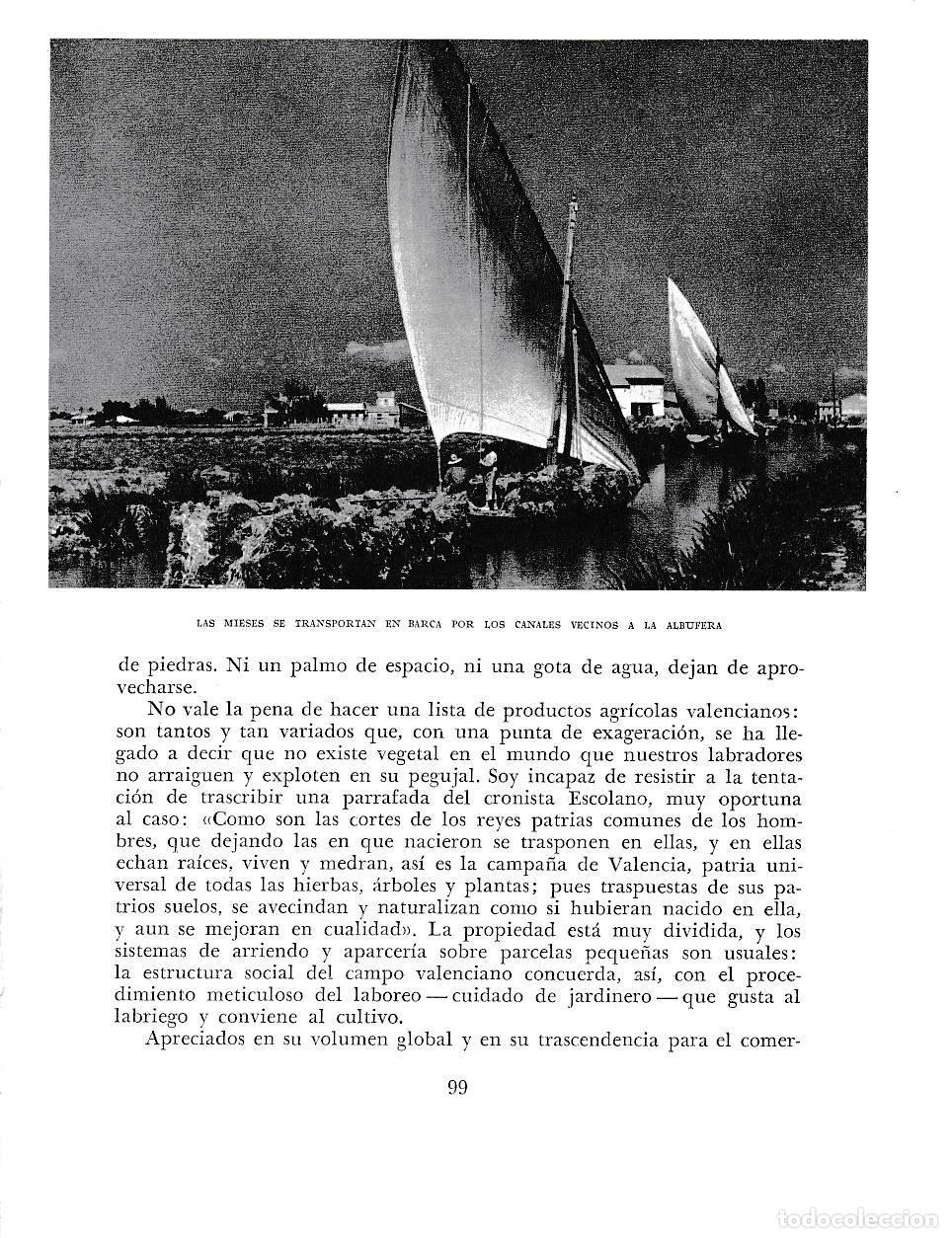 Otros art&iacute;culos de coleccionismo en papel: LAMINA 5898: Las mieses se trnasportan en barca a la Albufera - Joan Fuster