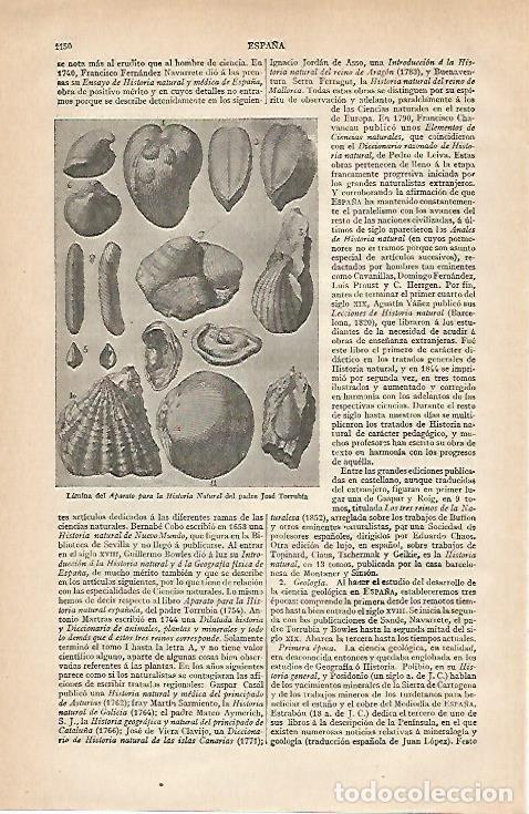 Otros art&iacute;culos de coleccionismo en papel: LAMINA ESPASA 20003: Lamina del Aparato para la Historia Natural de Torrubia - Varios