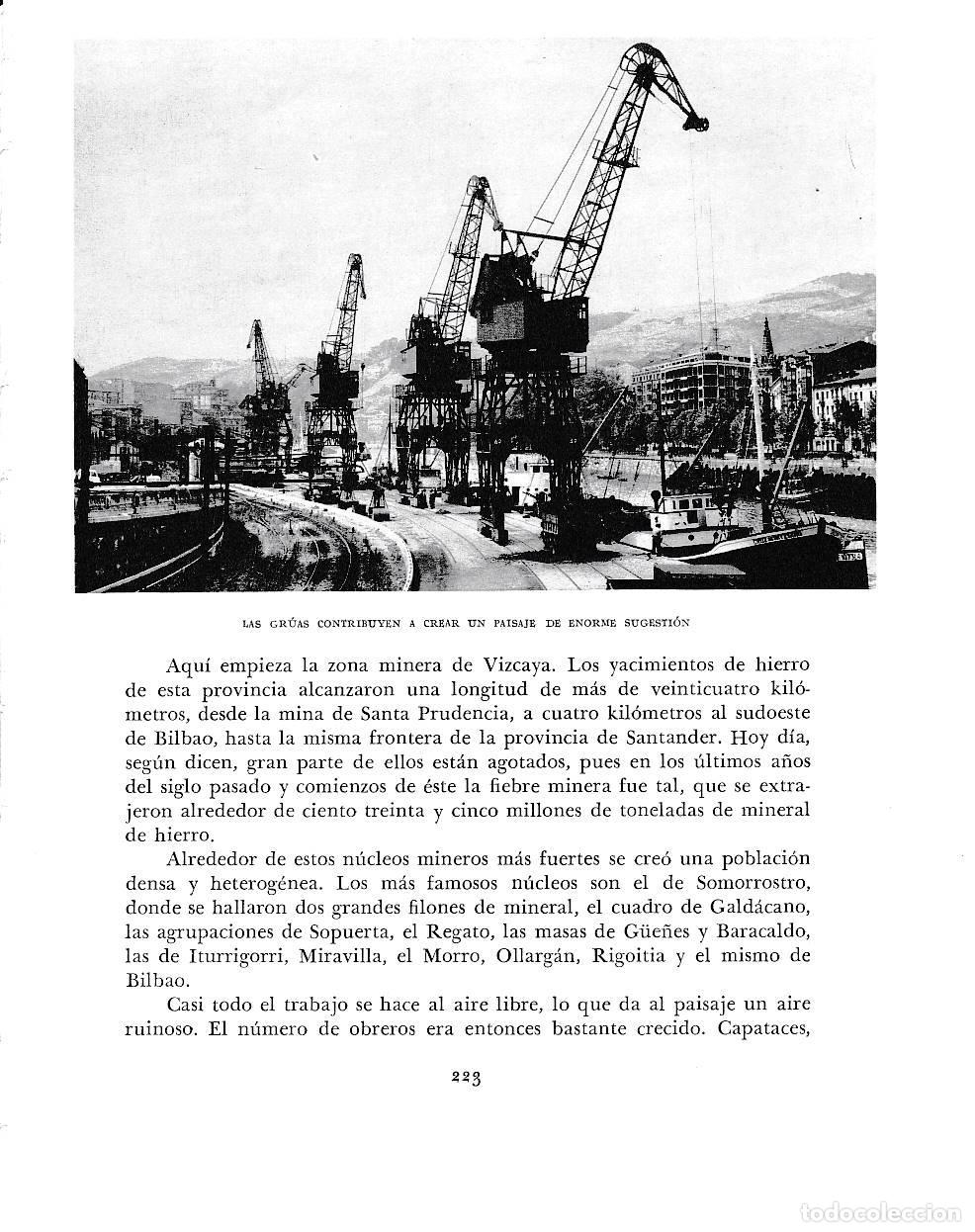 Otros art&iacute;culos de coleccionismo en papel: LAMINA 6182: Las gruas - Pio Baroja