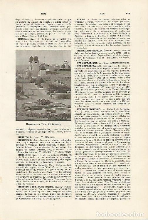 Otros art&iacute;culos de coleccionismo en papel: LAMINA SALVAT 80168: Balneario de Heringsdorf - Varios