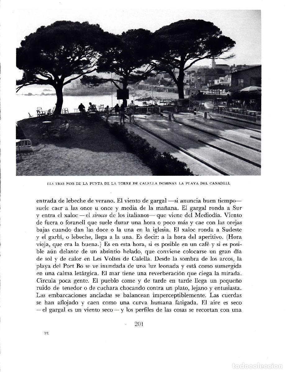 Otros art&iacute;culos de coleccionismo en papel: LAMINA 5723: El tres pinsde La Punta de La Torre y Playa del Canadell - Josep Pla