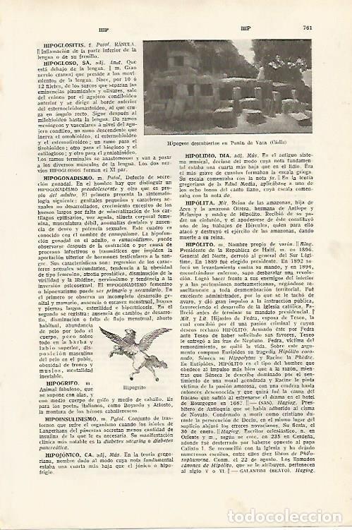 Otros art&iacute;culos de coleccionismo en papel: LAMINA SALVAT 80179: Hipogeos de Punta de Vaca Cadiz - Varios