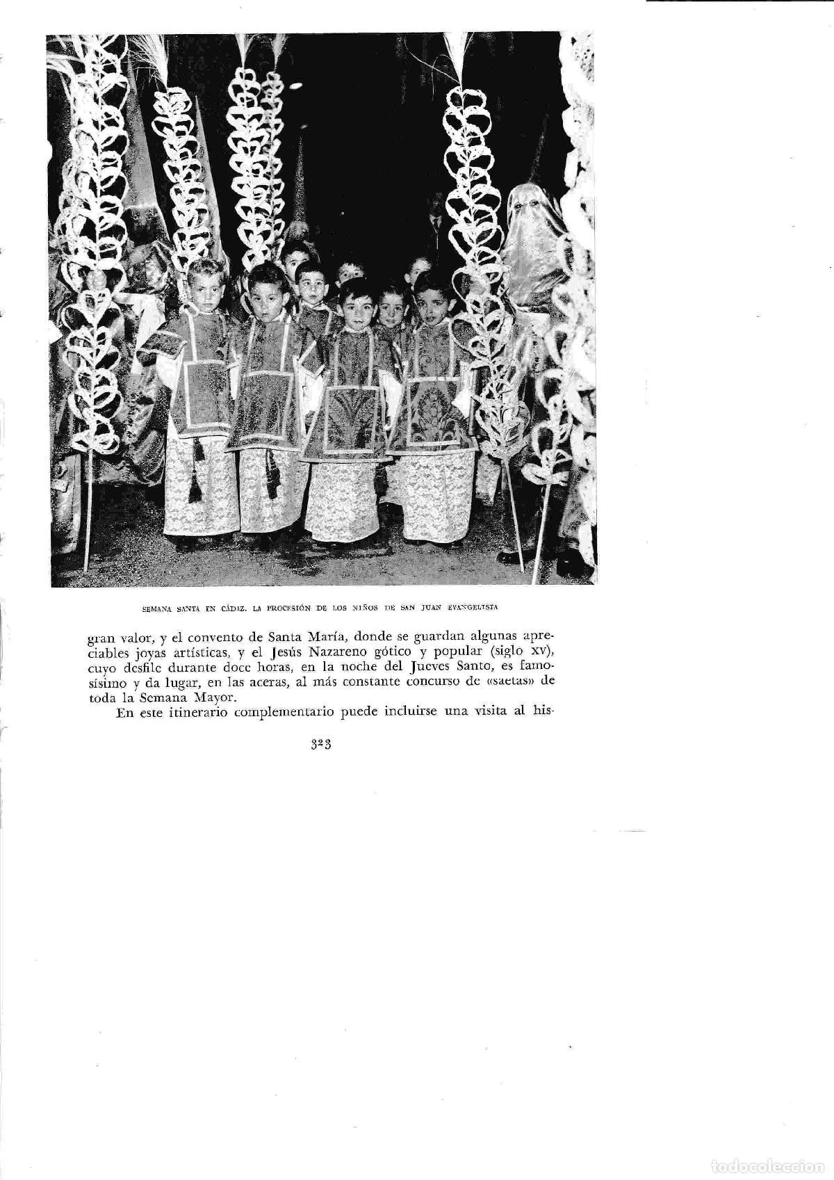 Otros art&iacute;culos de coleccionismo en papel: LAMINA 6449: Semana Santa en Cadiz procesion de los ni&ntilde;os de San Juan Evangelista - Jose M&ordf; Peman