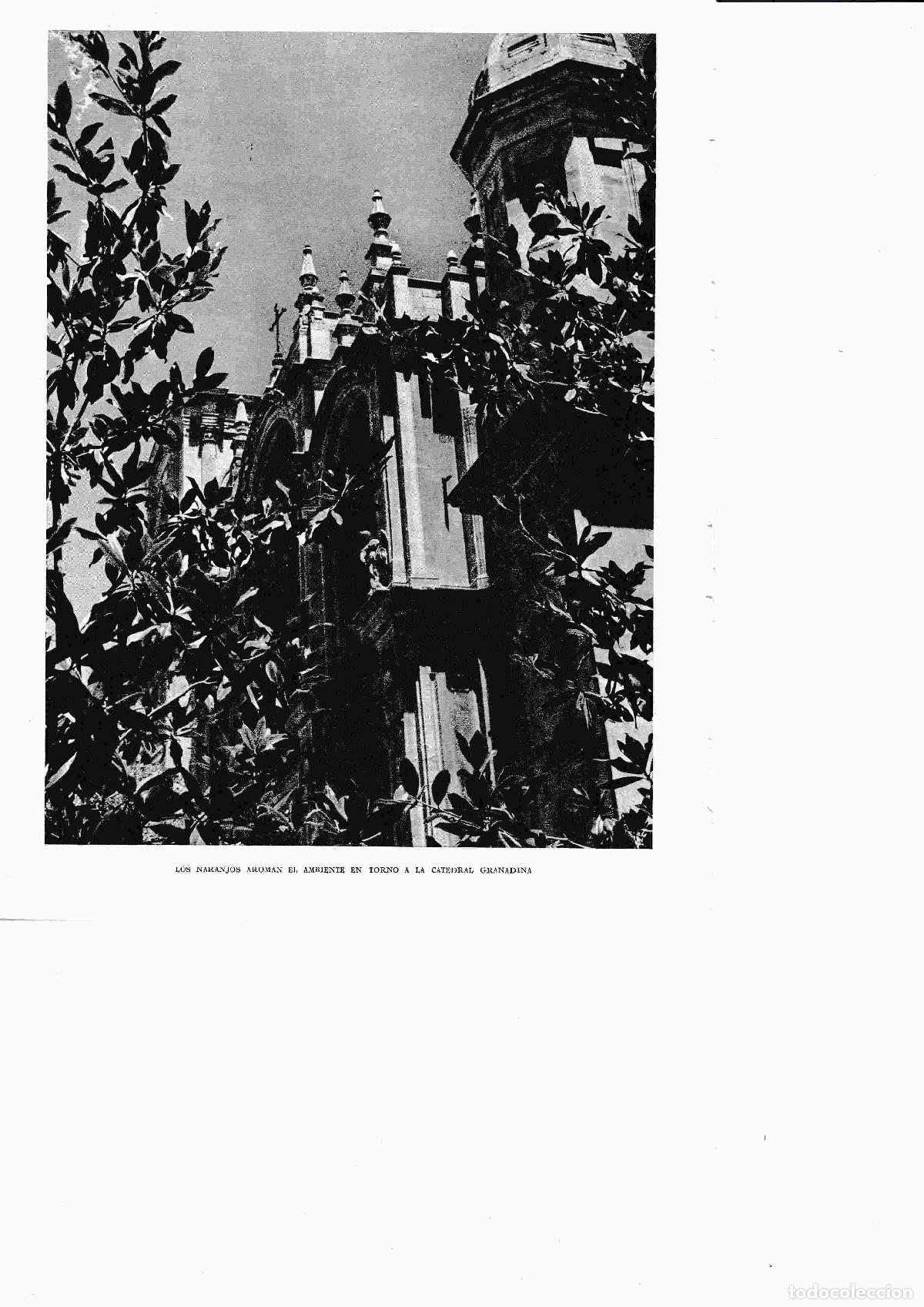 Altri oggetti di carta: LAMINA 6505: Los naranjosen torno a la catedral de Granada - Jose M&ordf; Peman