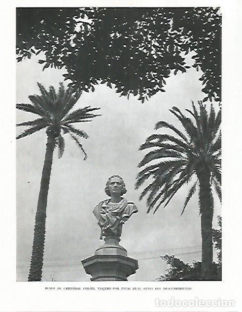 Otros art&iacute;culos de coleccionismo en papel: LAMINA 10234: Busto de Cristobal Colon - Claudio de la Torre