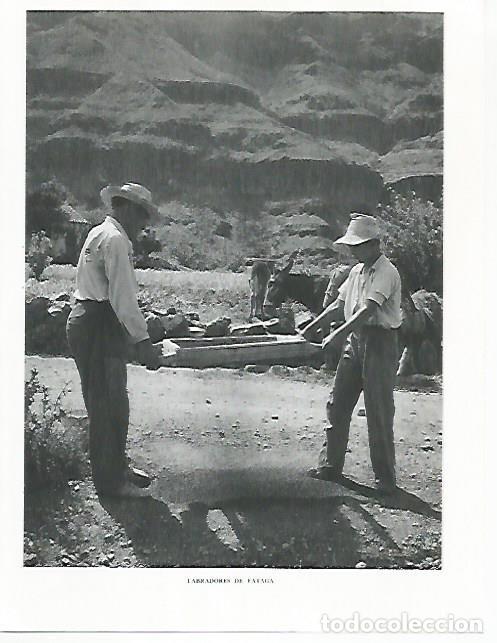 Altri oggetti di carta: LAMINA 10346: Labradores de Fataga - Claudio de la Torre