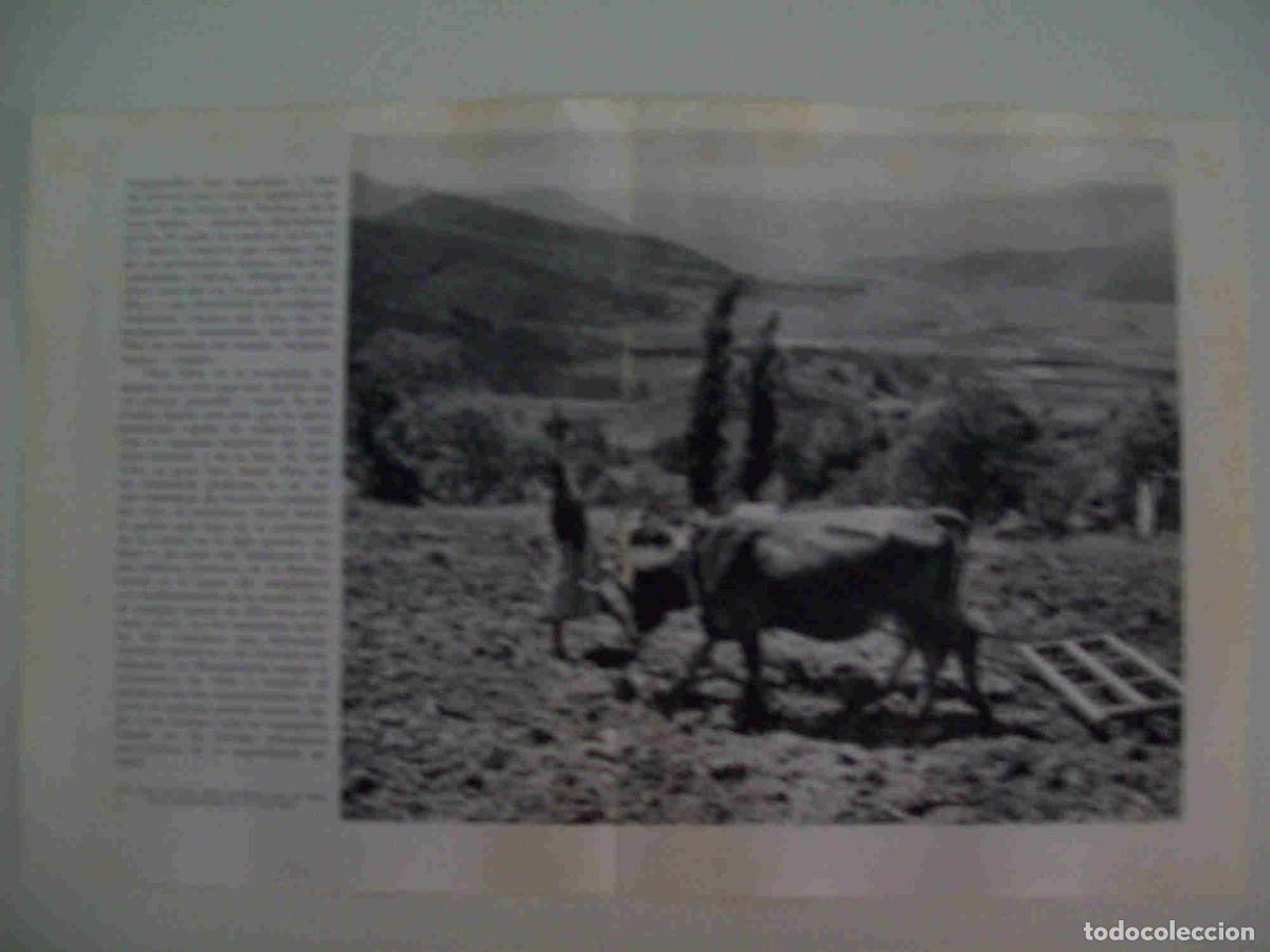Otros art&iacute;culos de coleccionismo en papel: LAMINA 10688: Valle de Olot - Josep Pla