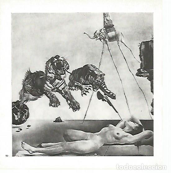 Otros art&iacute;culos de coleccionismo en papel: LAMINA 1705: DALI. El sue&ntilde;o - Xavier Domingo