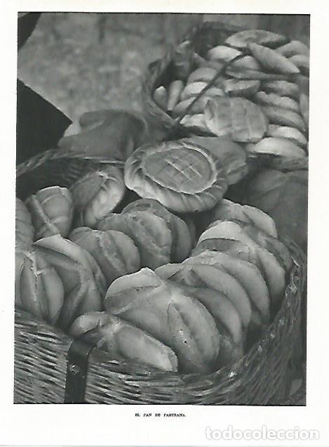 Otros art&iacute;culos de coleccionismo en papel: LAMINA 8877: Pan de Pastrana Guadalajara - G. Gomez de la Serna