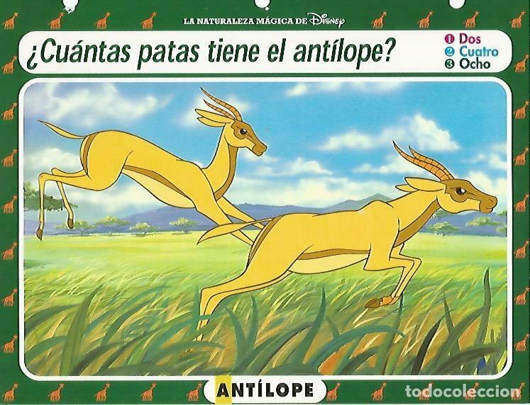 Sammelleidenschaft Andere Papierartikel: LAMINA 14084: Antilope. Secretos de la sabana con el Rey Leon - Varios