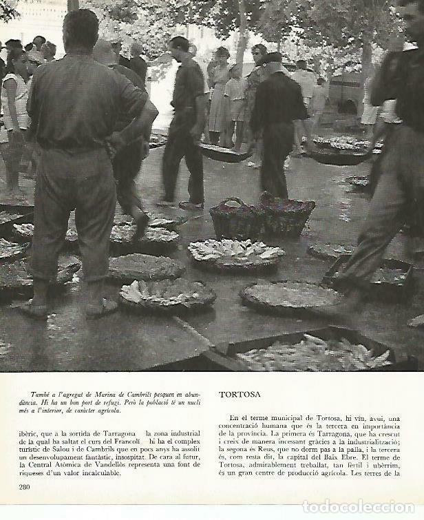 Otros art&iacute;culos de coleccionismo en papel: LAMINA 14046: Calle comercial en Reus, Tarragona - Josep Pla