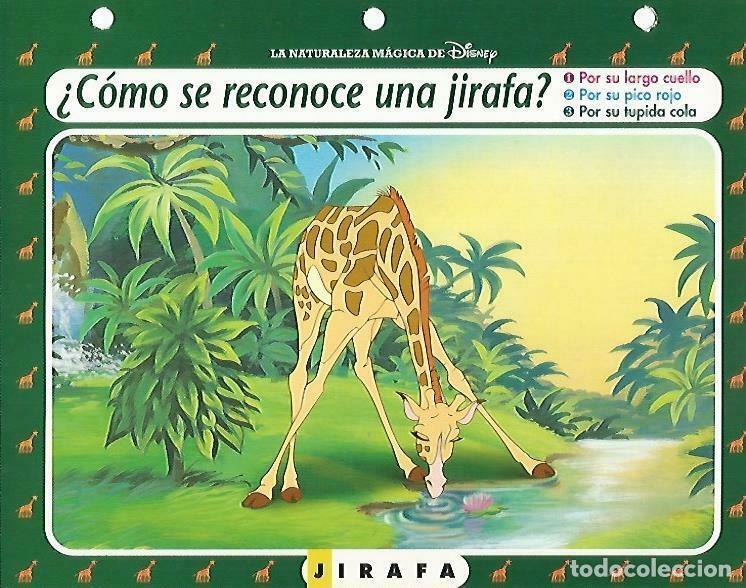 Otros art&iacute;culos de coleccionismo en papel: LAMINA 14141: Jirafa. Secretos con el Rey Leon - Varios