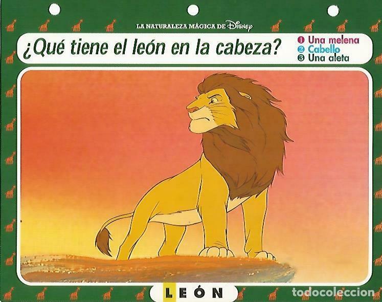 Otros art&iacute;culos de coleccionismo en papel: LAMINA 14160: Leon. Secretos con el Rey Leon - Varios
