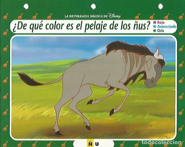 Otros art&iacute;culos de coleccionismo en papel: LAMINA 14106: &Ntilde;u. Secretos con el Rey Leon - Varios