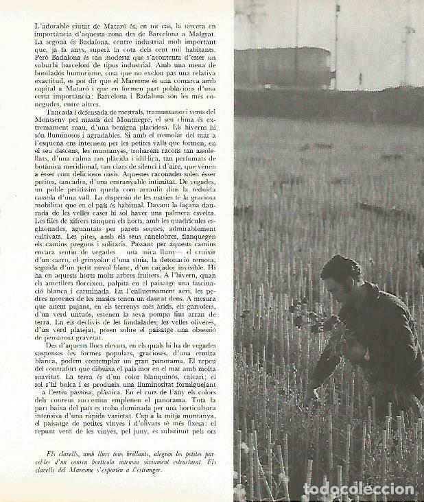 Otros art&iacute;culos de coleccionismo en papel: LAMINA 13934: Plantacion de claveles en el Maresme - Josep Pla