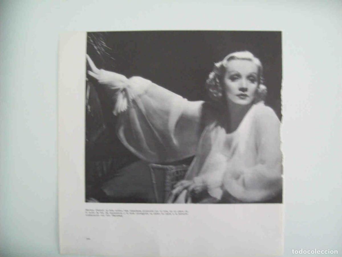 Otros art&iacute;culos de coleccionismo en papel: LAMINA 14270: Marlene Dietrich en El jardin de Ala - VVAA