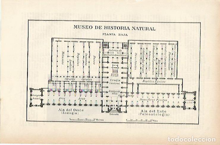 Otros art&iacute;culos de coleccionismo en papel: LAMINA ESPASA 1886: Plano del Museo de Historia Natural de Londres - Varios Autores
