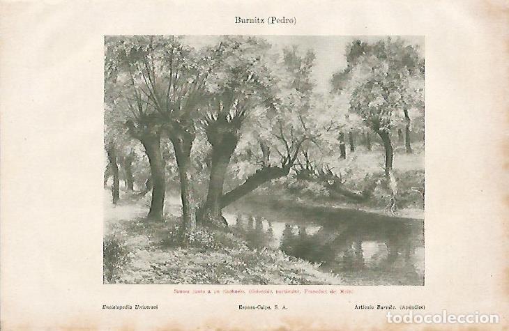 Otros art&iacute;culos de coleccionismo en papel: LAMINA ESPASA 8217: Sauces junto a un riachuelo por P. Burnitz - Varios