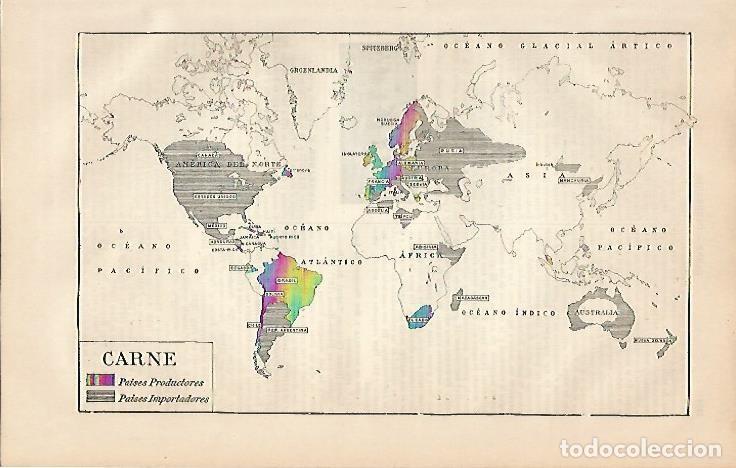 Otros art&iacute;culos de coleccionismo en papel: LAMINA ESPASA 4344: Mapa mundial de carne - Varios Autores