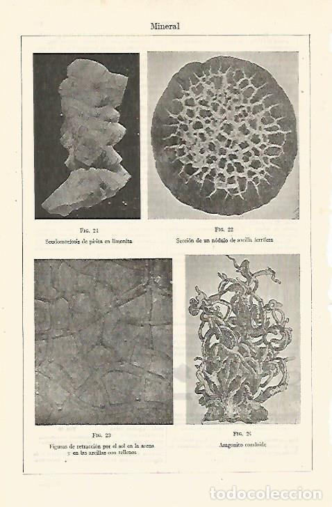 Otros art&iacute;culos de coleccionismo en papel: LAMINA ESPASA 24016: Mineral - Varios