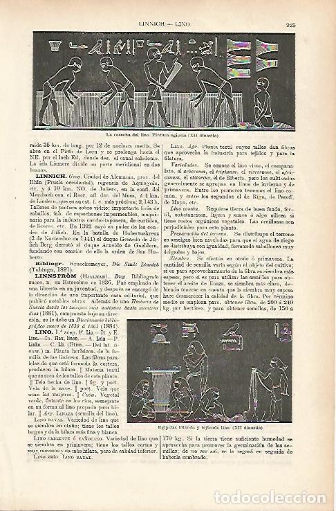 Otros art&iacute;culos de coleccionismo en papel: LAMINA ESPASA 25724: Pinturas de Egipto - Varios