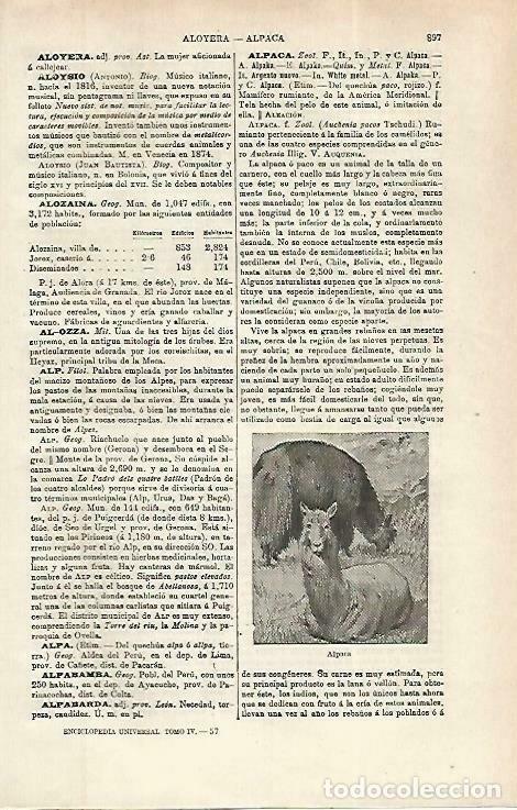 Otros art&iacute;culos de coleccionismo en papel: LAMINA ESPASA 33868: Alpaca - Varios