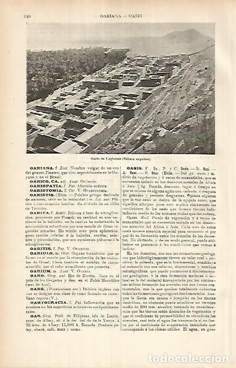 Otros art&iacute;culos de coleccionismo en papel: LAMINA ESPASA 25874: Oasis de Laghonat Argelia - Varios