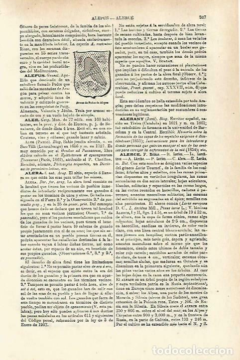 Otros art&iacute;culos de coleccionismo en papel: LAMINA ESPASA 33709: Escudo de Pedro de Alepus - Varios