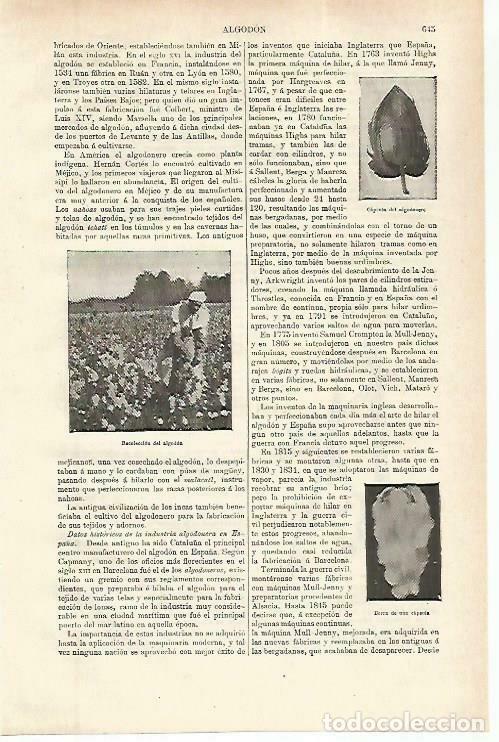 Otros art&iacute;culos de coleccionismo en papel: LAMINA ESPASA 33790: Recoleccion de algod&oacute;n - Varios