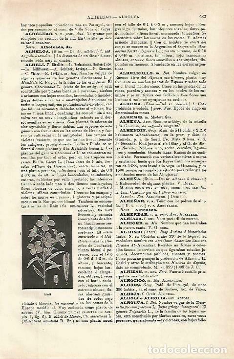 Otros art&iacute;culos de coleccionismo en papel: LAMINA ESPASA 33770: Alheli - Varios