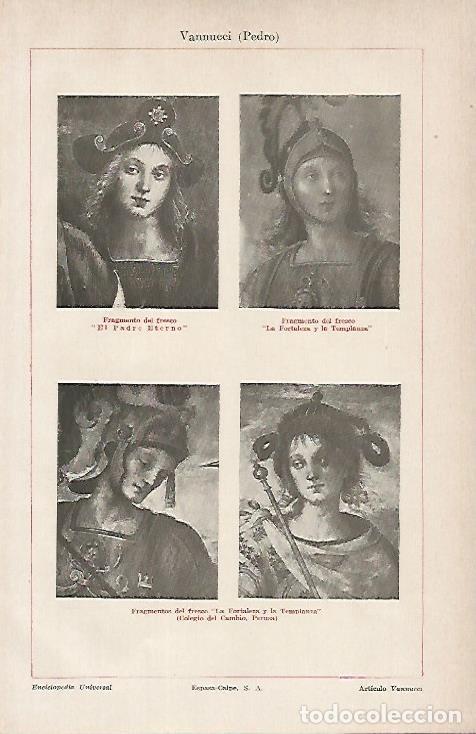 Otros art&iacute;culos de coleccionismo en papel: LAMINA ESPASA 4864: Frescos por Vannucci - Varios Autores