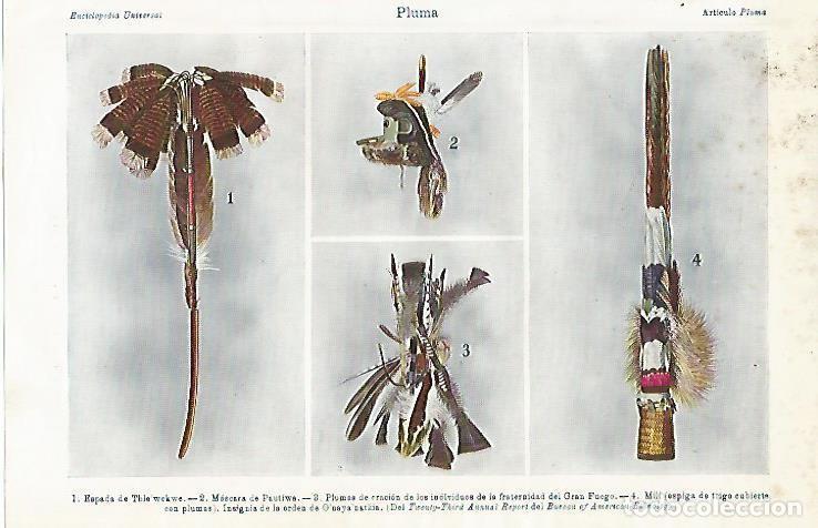 Otros art&iacute;culos de coleccionismo en papel: LAMINA ESPASA 3307: Ejemplos de pluma - Varios Autores