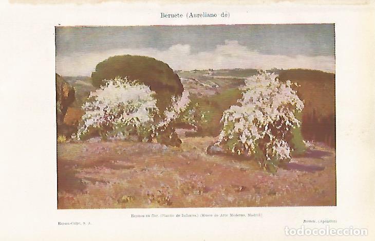 Otros art&iacute;culos de coleccionismo en papel: LAMINA ESPASA 24323: Espinos en flor por A. de Beruete - Varios