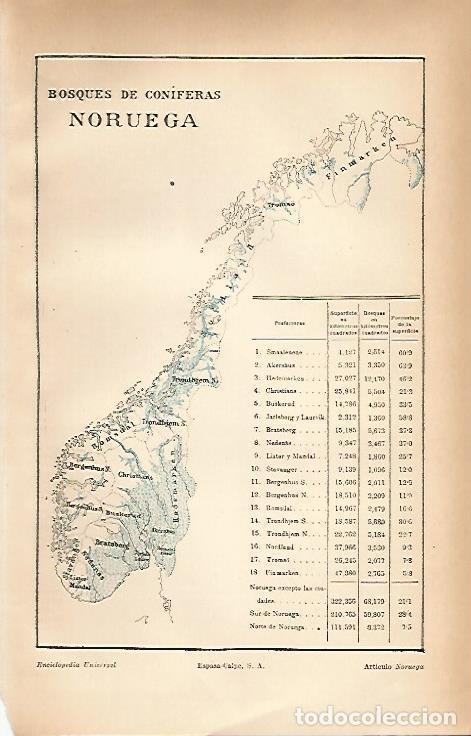 Otros art&iacute;culos de coleccionismo en papel: LAMINA ESPASA 20256: Mapa de los bosques de Noruega - Varios