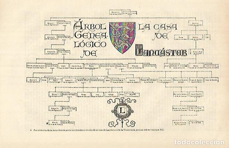 Otros art&iacute;culos de coleccionismo en papel: LAMINA ESPASA 26375: Arbol genealogico de la Casa de los Lancaster - Varios