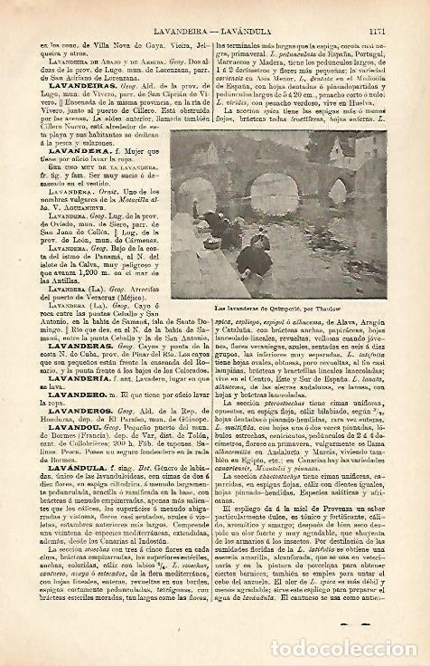 Otros art&iacute;culos de coleccionismo en papel: LAMINA ESPASA 26456: Las lavanderas de Quimperle por Thaulow - Varios