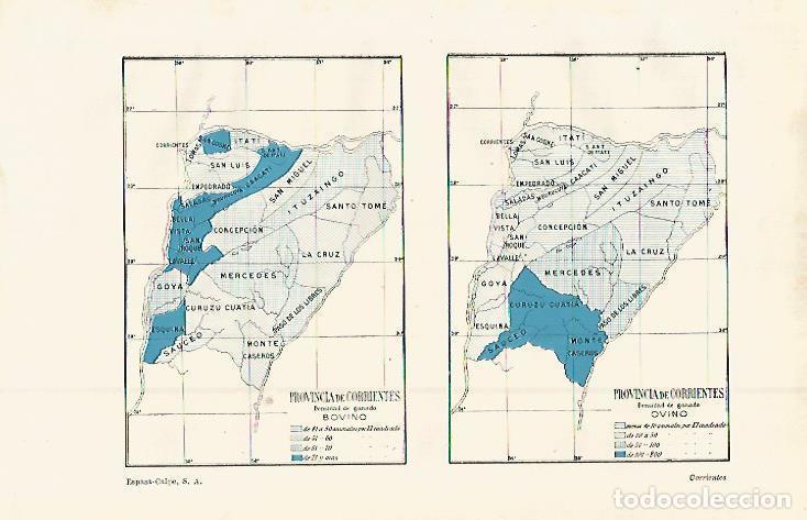 Otros art&iacute;culos de coleccionismo en papel: LAMINA ESPASA 15058: Mapa de ovino y bovino de la provincia de Corrientes Argentina - Varios