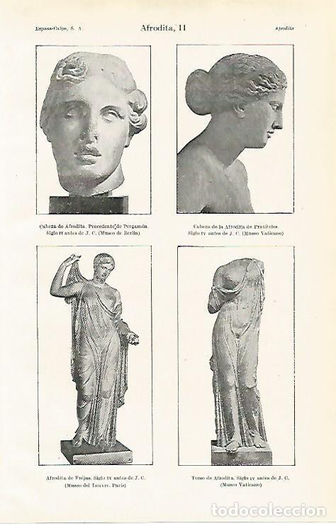 Otros art&iacute;culos de coleccionismo en papel: LAMINA ESPASA 15378: Esculturas de Afrodita - Varios