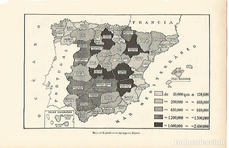 Otros art&iacute;culos de coleccionismo en papel: LAMINA ESPASA 869: Mapa de la produccion de trigo en Espa&ntilde;a - Varios Autores