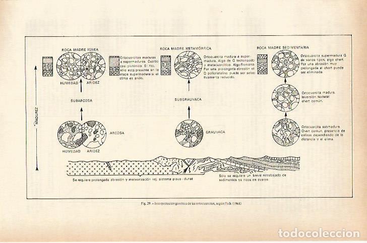 Otros art&iacute;culos de coleccionismo en papel: LAMINA ESPASA 26677: Interpretacion genetica de las ortocuarcitas segun Folk - Varios