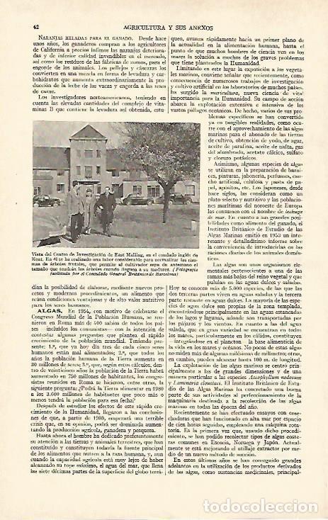 Otros art&iacute;culos de coleccionismo en papel: LAMINA ESPASA 26891: Centro de Investigacion East Malling en Kent Gran Breta&ntilde;a - Varios